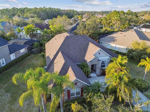 A home in TAMPA