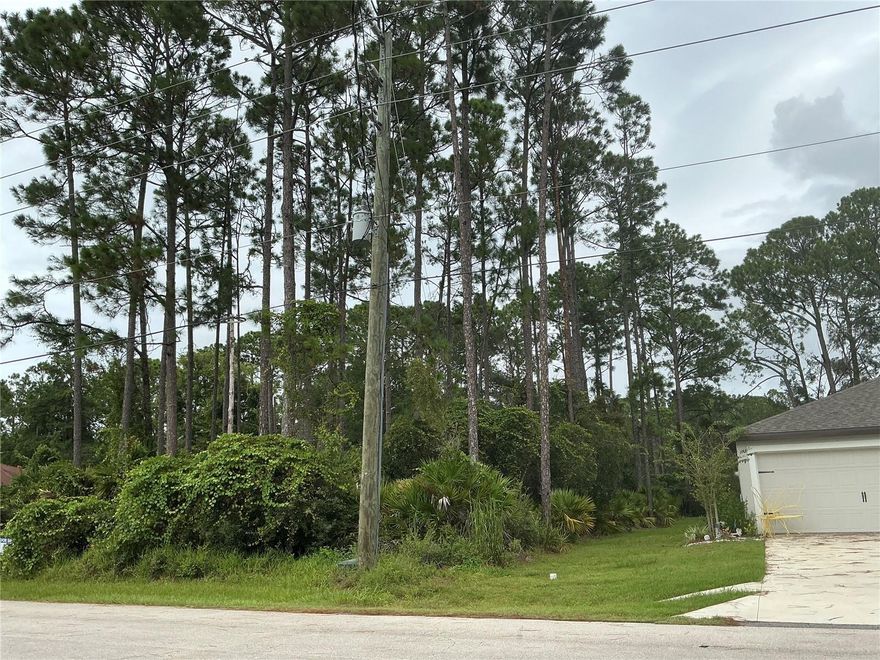 Build your dream home on this prime residential lot in the established Palm Coast. This 0.23-acre (10,019 sq ft) parcel offers an ideal size (approximately 80’ x 125’) for new construction with excellent development potential. Conveniently located just minutes from I-95 (Palm Coast Parkway exit), the property provides easy commuting access to Jacksonville to the north and Orlando to the south, perfect for everyday travel, beach trips, or regional connections. This lot sits outside the flood zone with no wetlands or environmental issues, making it a straightforward and build-friendly site. Public water and sewer services are available at the street, along with electricity, enhancing convenience and reducing development costs. Palm Coast’s thriving location offers proximity to beautiful Flagler beaches, quality golf courses, scenic parks, and a growing residential market — all without HOA or CDD fees.