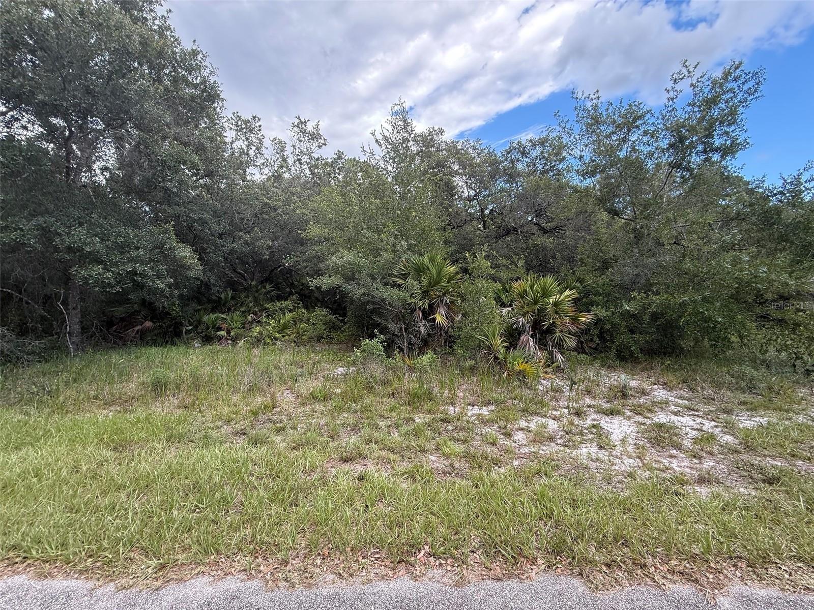 LEISURE LAKES SEC 04 - Land