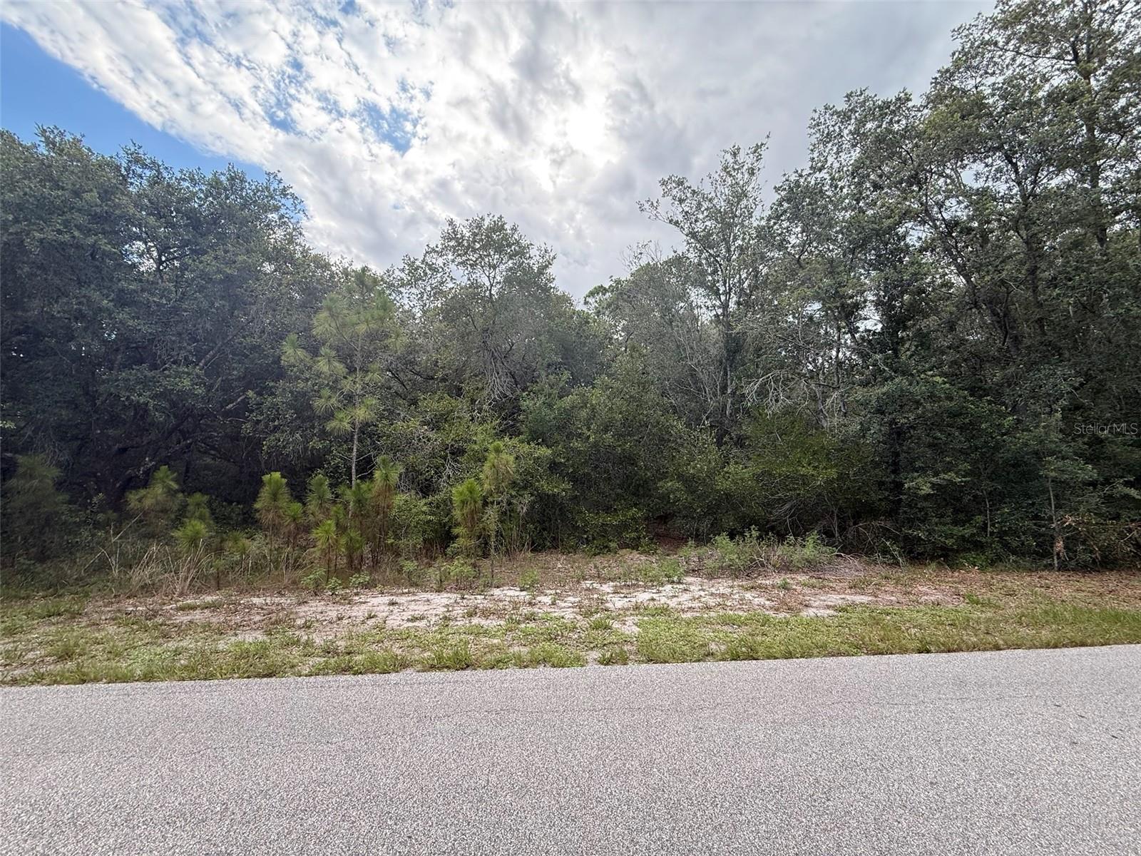 LEISURE LAKES SEC 04 - Land