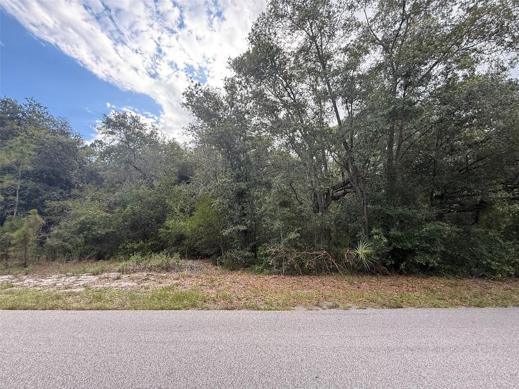 Photo of 1012 Wildflower Street, Lake Placid, FL 33852 (MLS # OK225317)