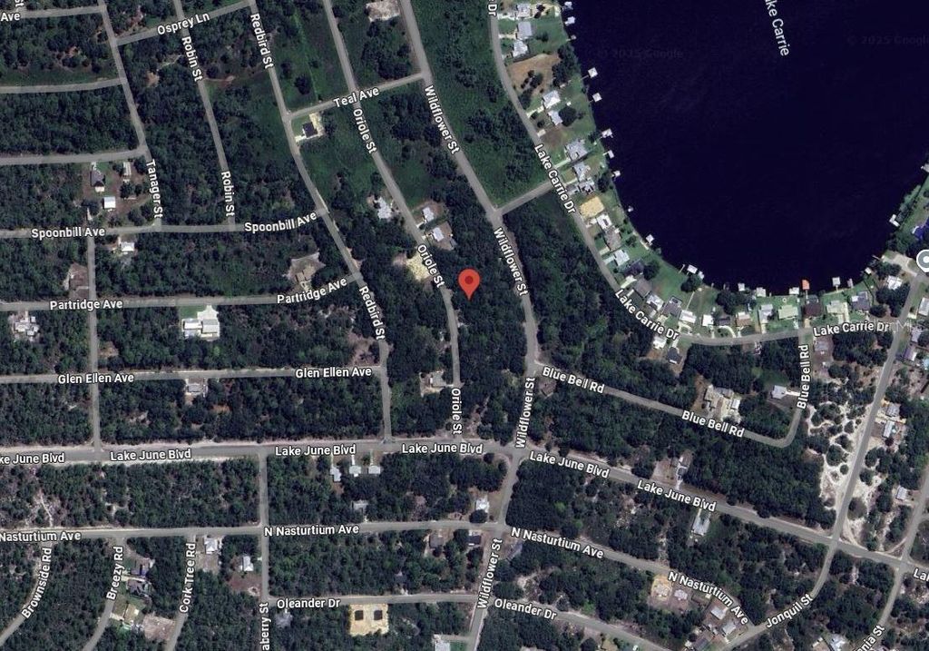 Photo of 1012 Wildflower Street, Lake Placid, FL 33852 (MLS # OK225317)