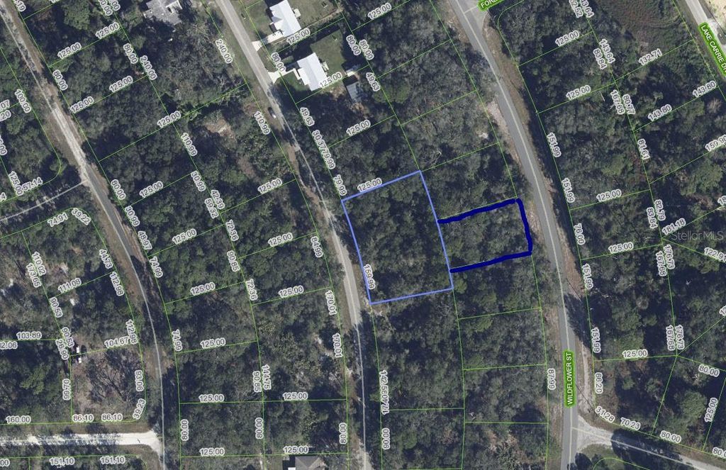 Photo of 1012 Wildflower Street, Lake Placid, FL 33852 (MLS # OK225317)