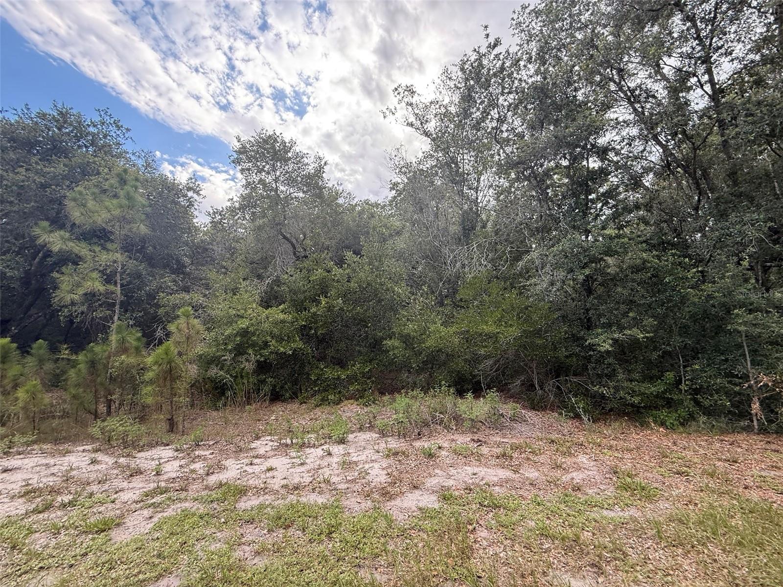 LEISURE LAKES SEC 04 - Land