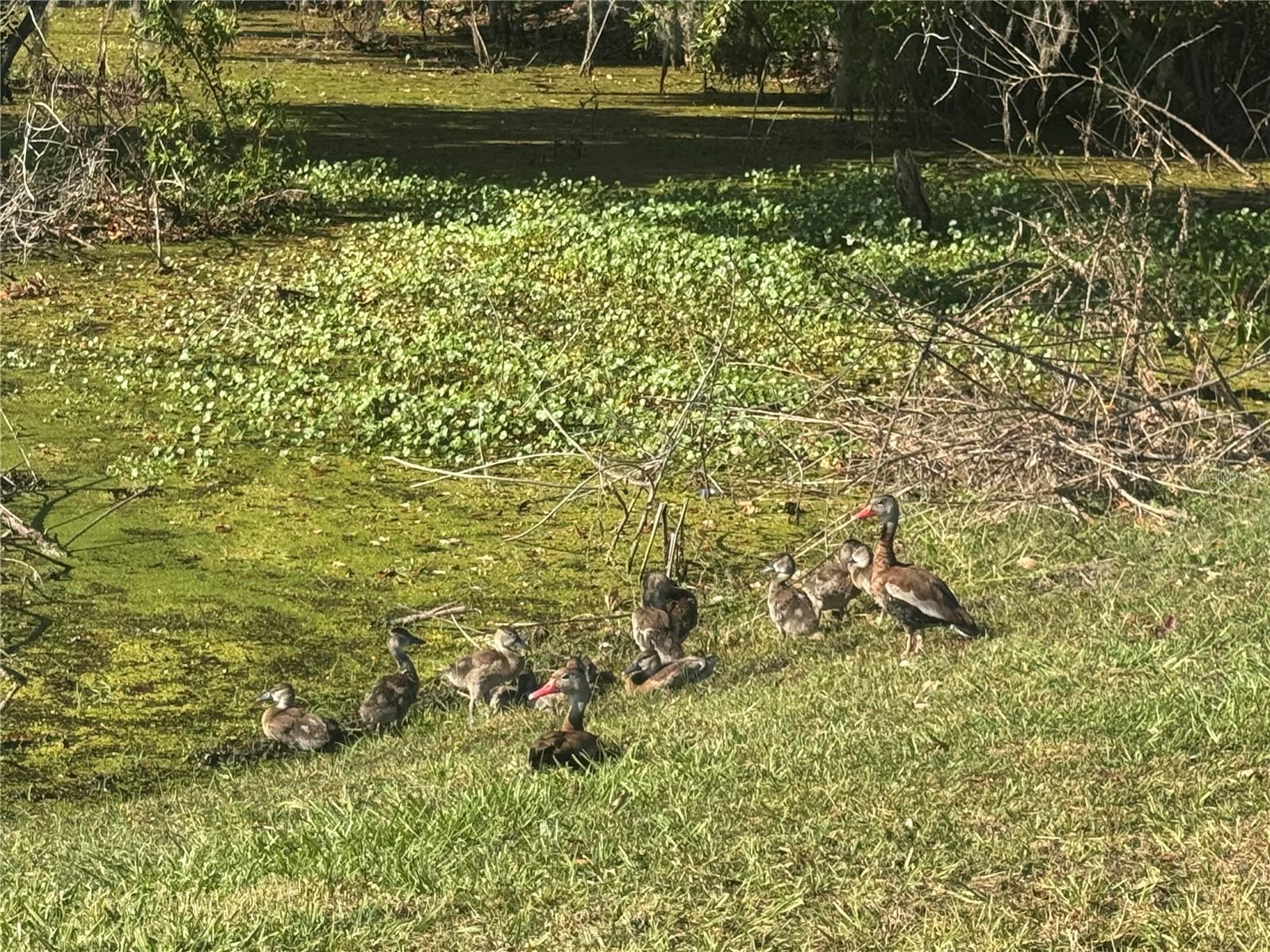 LAKE POINT LANDING - Residential Lease