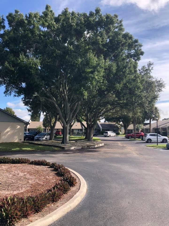 LAKE POINT LANDING - Residential Lease