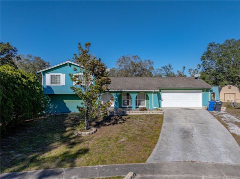 A home in VALRICO