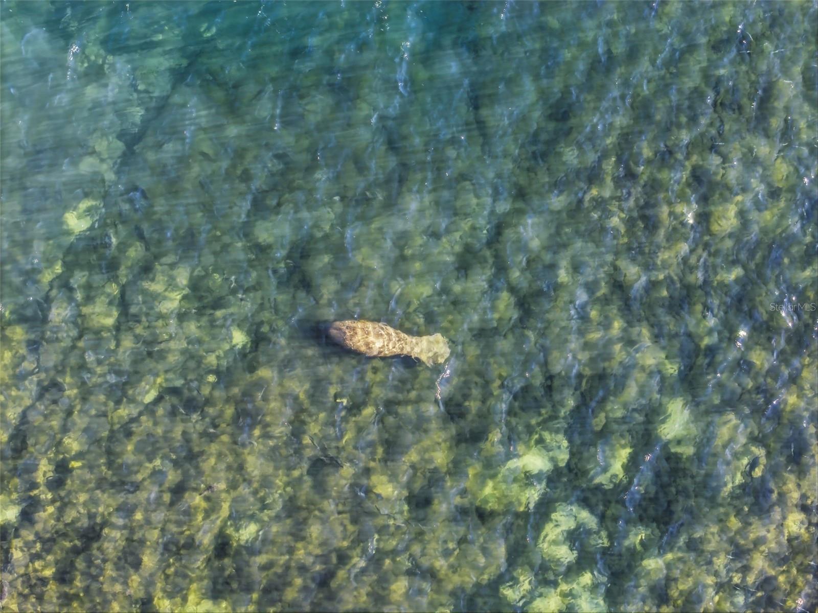 JENKINS ESTATES (REPLAT SUNSET SHORES) - Residential