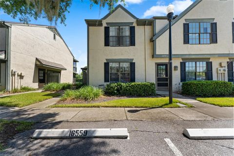 Photo of 16559 Brigadoon Drive, Tampa, FL 33618 (MLS # T3543589)