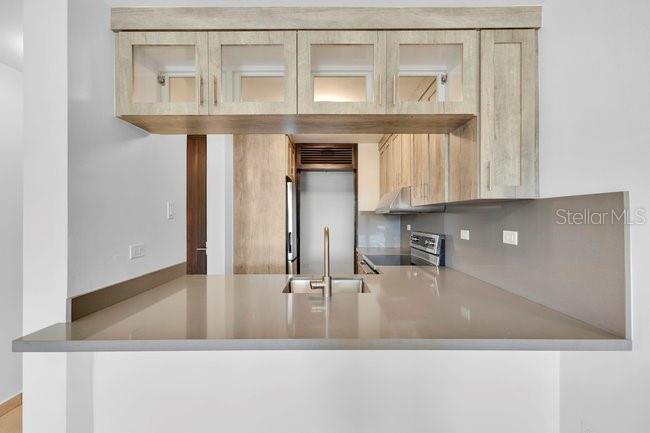 RINCON BY THE SEAS CONDOMINIUN - Residential