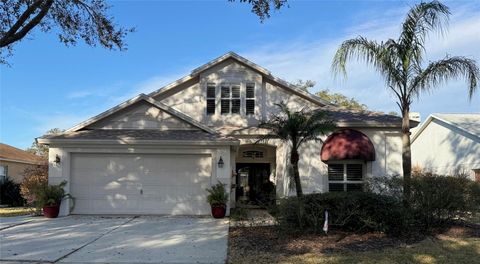 10317 TARRAGON DRIVE RIVERVIEW FL 33569