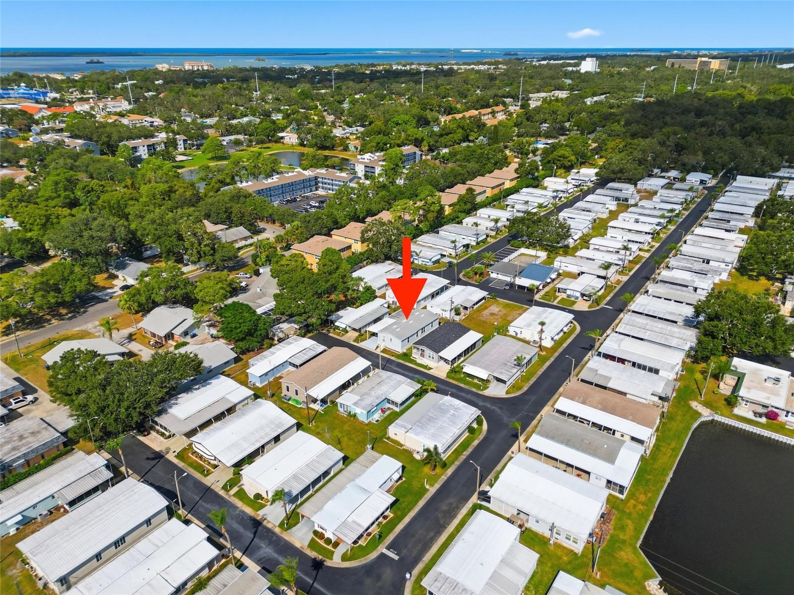 DUNEDIN PALMS UNREC - Residential