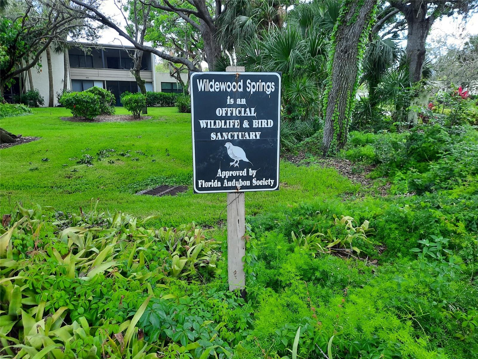 WILDEWOOD SPRINGS - Residential