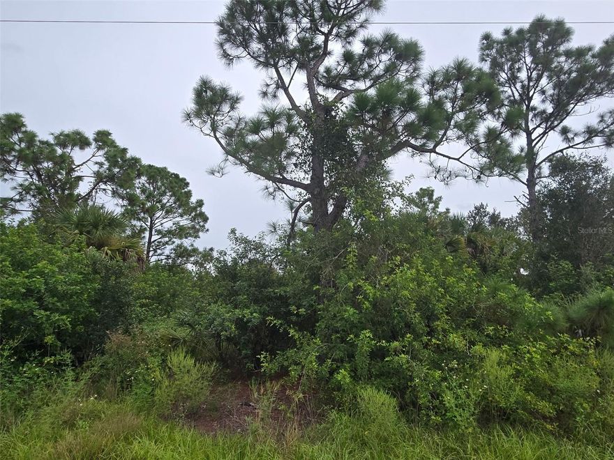 Discover land with endless opportunities!  Secure your piece today — they’re not making any more of it!  This oversized quarter-acre lot, located on a waterfront canal in North Port, FL, is affordably priced in the newly rezoned Activity Center 10 (AC-10) district!  An Electricity Pole is already in place at the front of the property, providing convenient access to power.  Permitted uses include commercial, industrial, warehouse, restaurant, office, retail, outdoor storage, RV/boat dealership, veterinary/boarding facilities, electric vehicle charging stations, multifamily residential and more.  Structures may be built up to 100 feet in height.  The Size and Zoning make this a Rare Opportunity to establish a Strong Investment Property in Sarasota County.  Ideally located just minutes from the Future Sarasota Memorial Hospital, Shopping, Dining, I-75, and only a Short Drive to Gulf Coast Beaches including World-Famous Siesta Key (#1 Beach in the USA), the Atlanta Braves & Tampa Bay Rays Spring Training Stadiums, North Port Aquatic Center, and Warm Mineral Springs.  Seller will consider All Reasonable Offers.