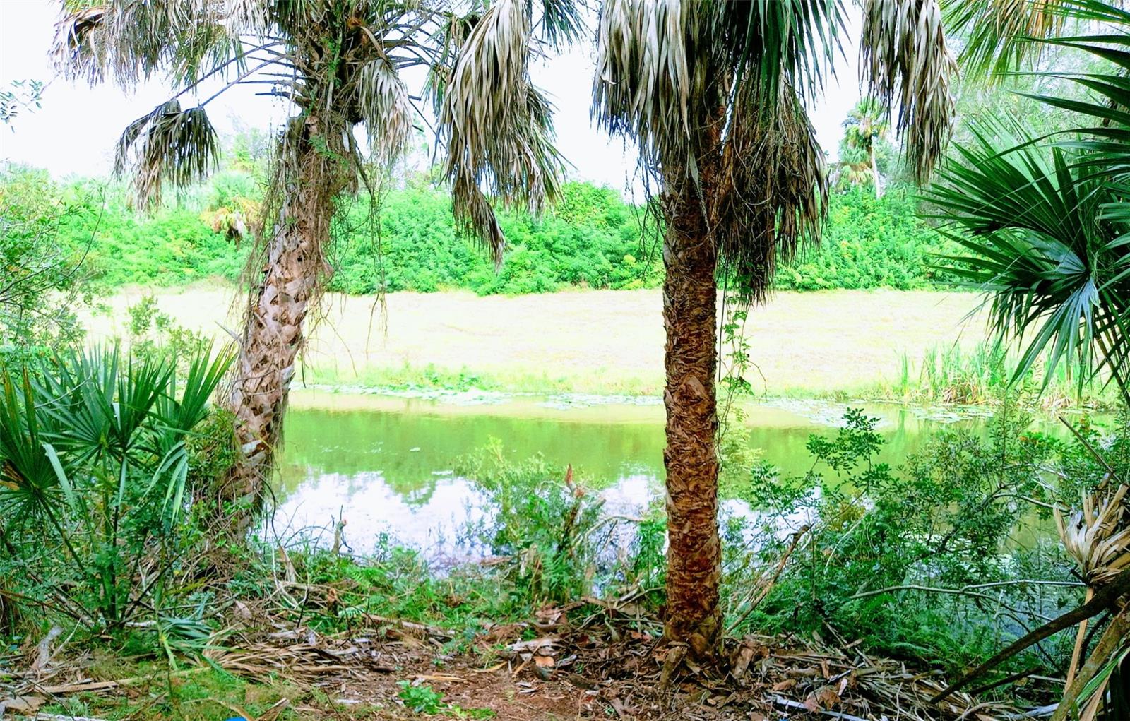 PORT CHARLOTTE SUB 45 - Land