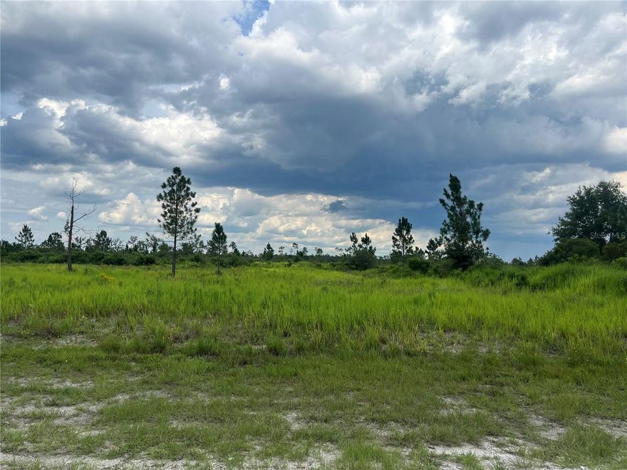 Build your dream home on this beautiful 0.52 acre lot situated in Indian Lake Estates, a community dedicated to golfing, fishing, and boating in the heart of Florida.  This is the ideal spot for those seeking the quintessential Florida lifestyle! The area boasts a beach, boat ramp, marina, pavilion, and the state's longest freshwater fishing pier. The pavilion features propane grills and sheltered picnic areas. Additional amenities include basketball and tennis courts, a clubhouse, post office, churches, a library, a fitness room, and a pro shop. With abundant wildlife such as deer, raccoons, turkeys, turtles, cranes, and various bird species, and a central location just an hour from Orlando or Tampa, this property is a steal below market value. Investing in Florida land is a sound decision for your future, whether you're planning to build a permanent home, a vacation retreat, a rental property, or hold onto the land as a valuable long-term asset to sell at a profit later.