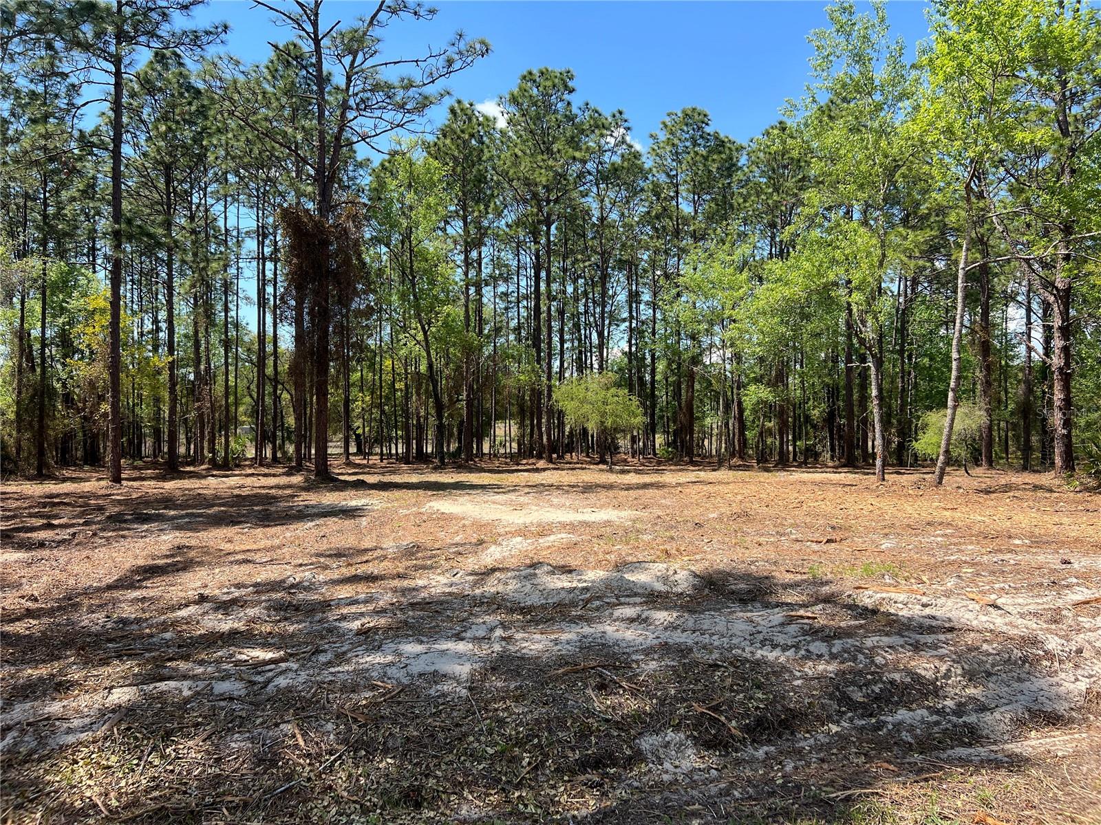 RAINBOW LAKES ESTATE - Land