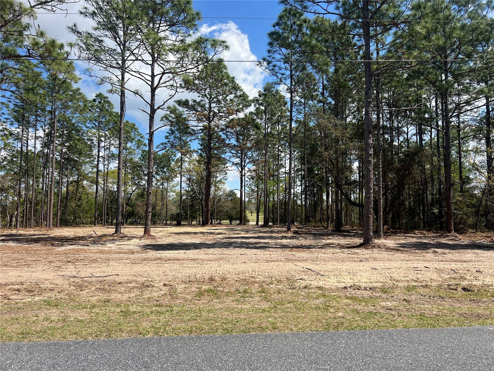 RAINBOW LAKES ESTATE - Land