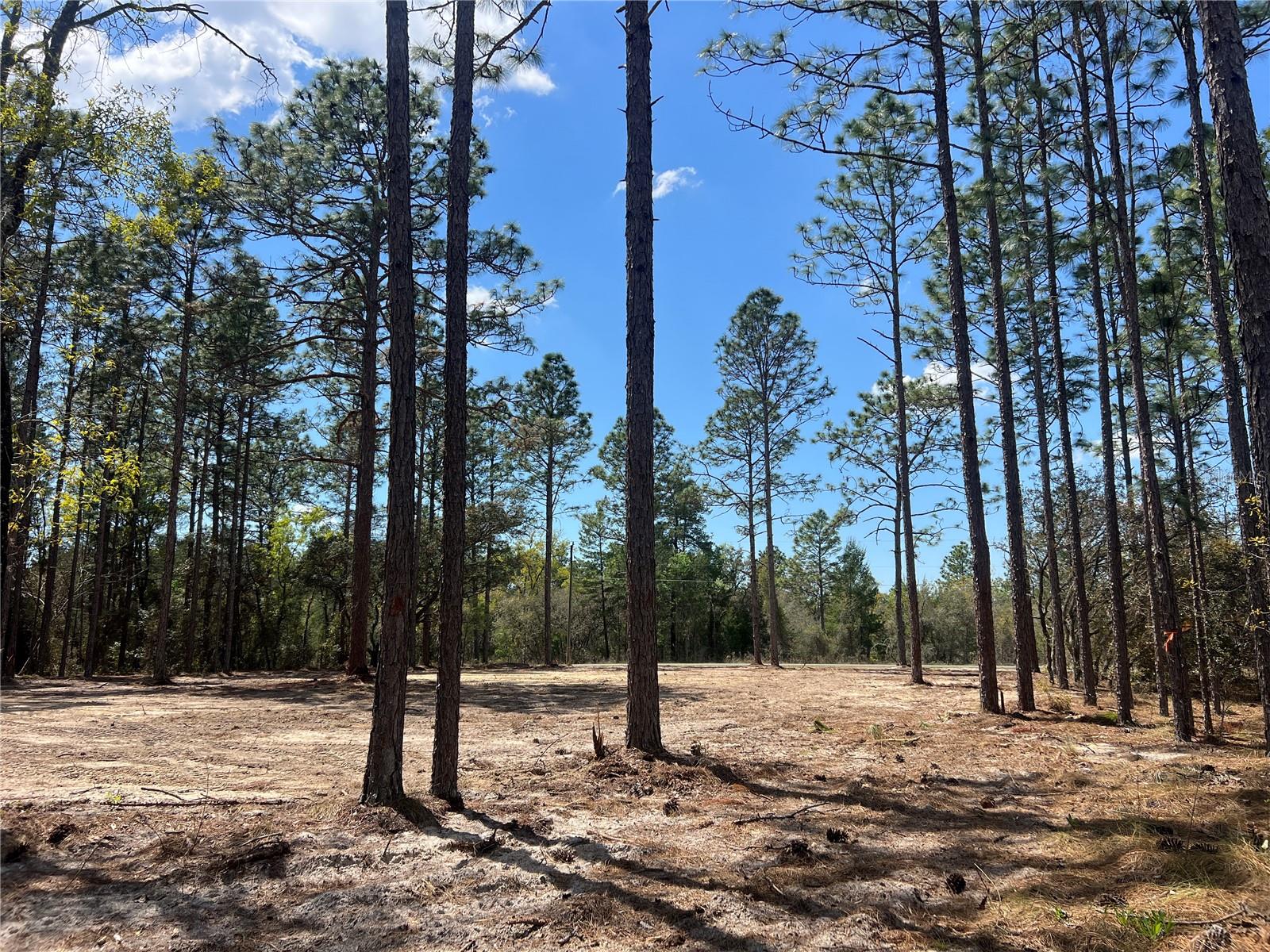 RAINBOW LAKES ESTATE - Land