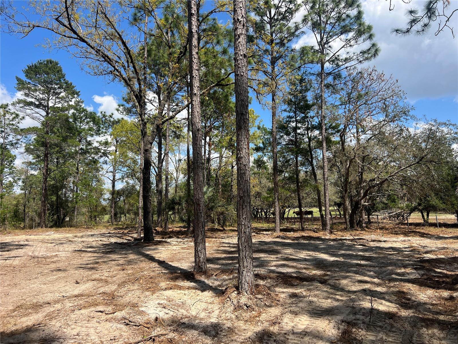 RAINBOW LAKES ESTATE - Land