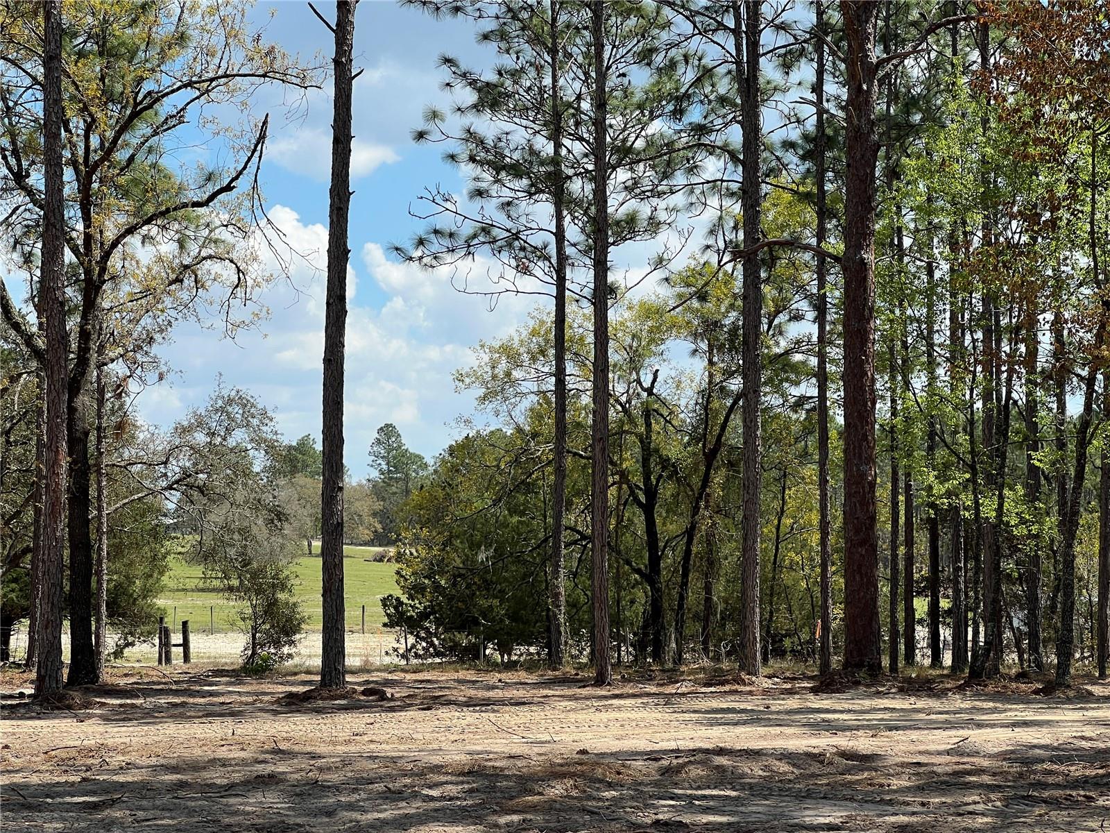 RAINBOW LAKES ESTATE - Land