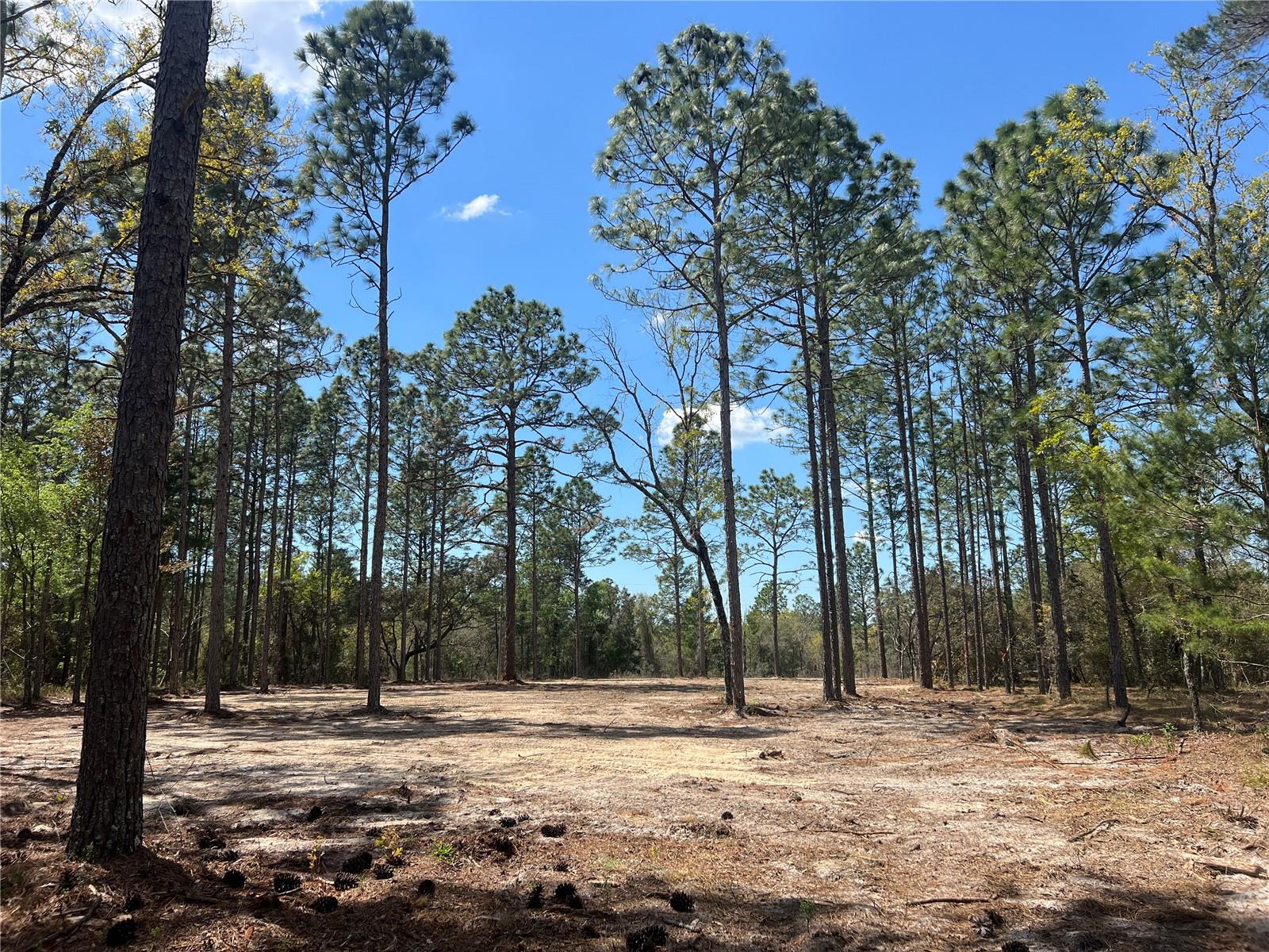 RAINBOW LAKES ESTATE - Land