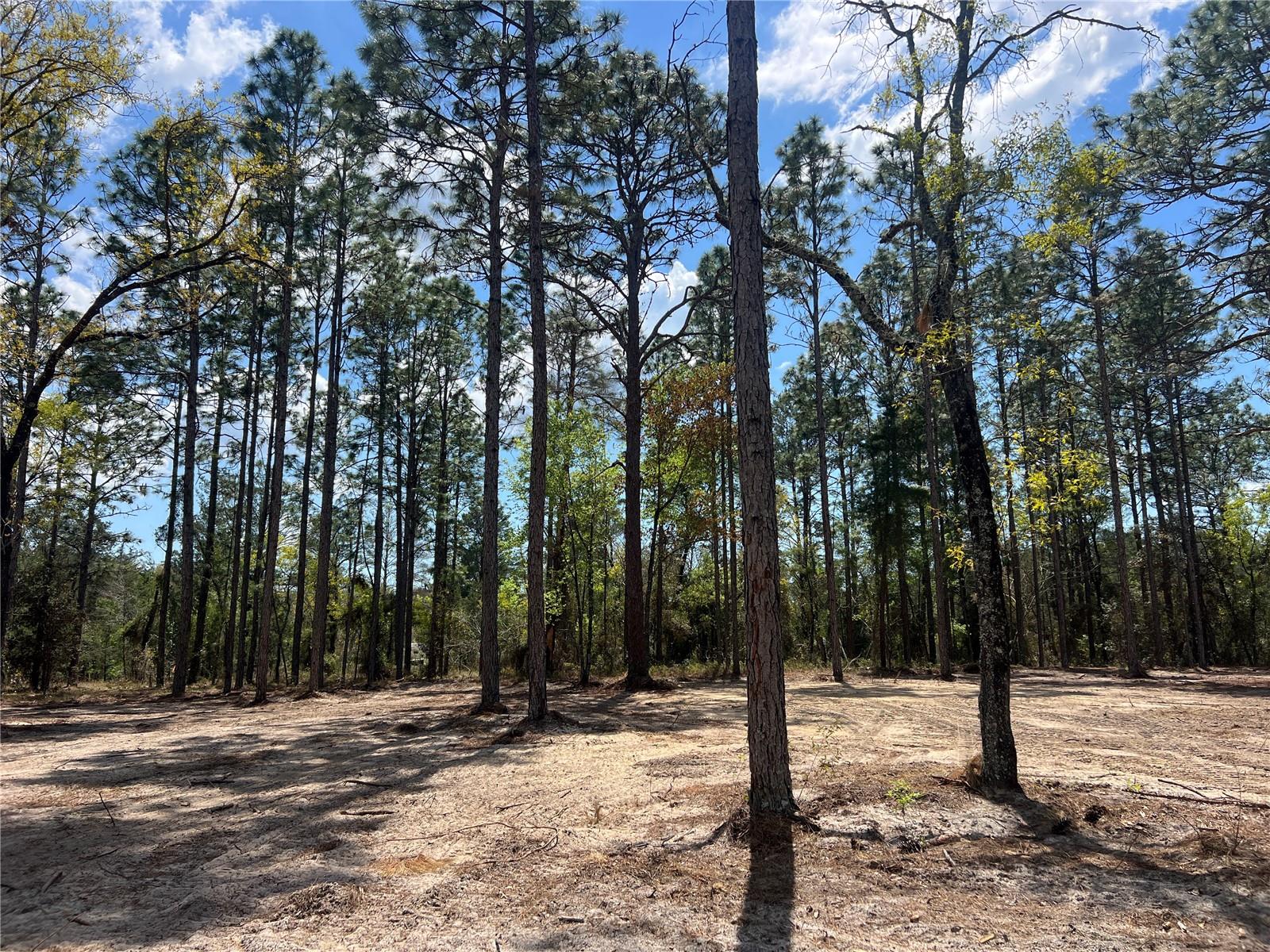 RAINBOW LAKES ESTATE - Land