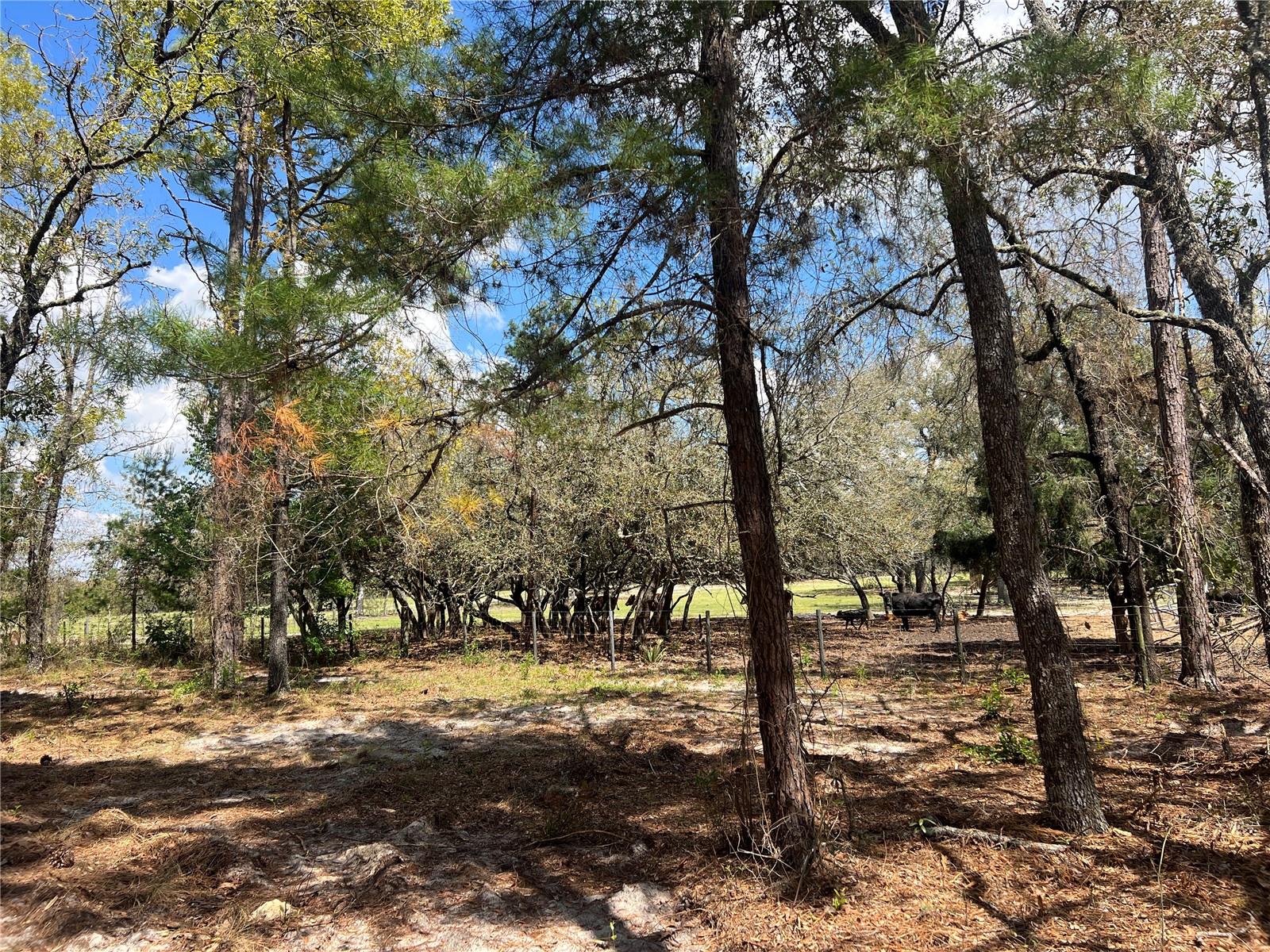 RAINBOW LAKES ESTATE - Land