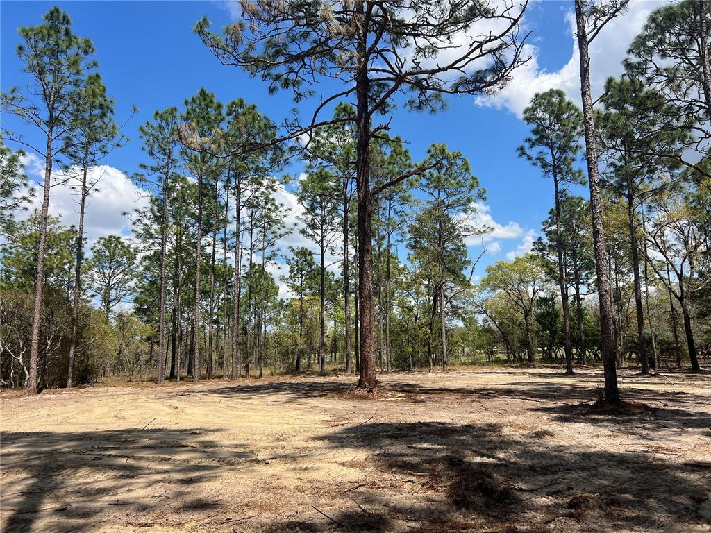 Photo of 16 SE 136 Terrace, Dunnellon, FL 34431 (MLS # OM721677)