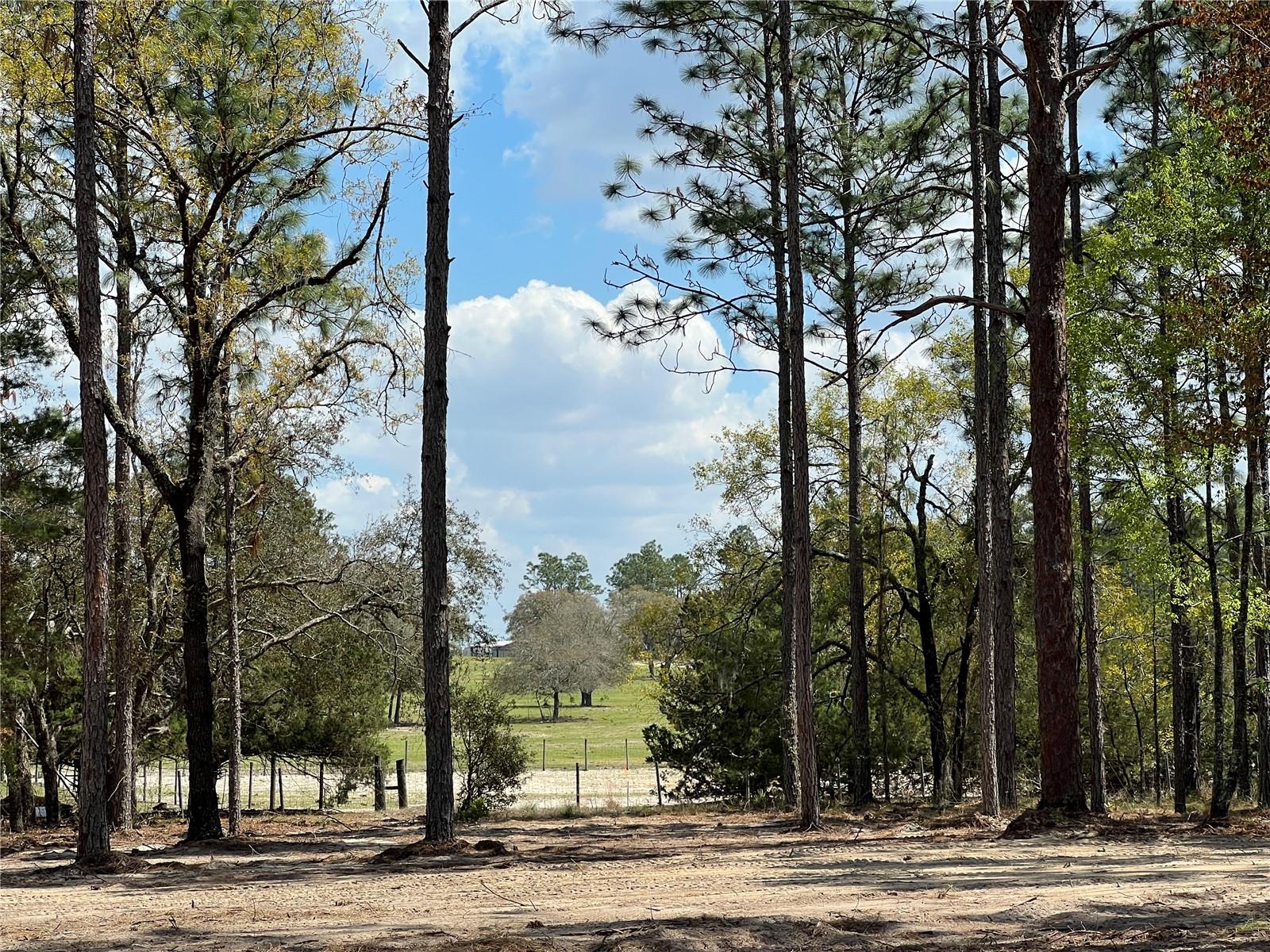 RAINBOW LAKES ESTATE - Land