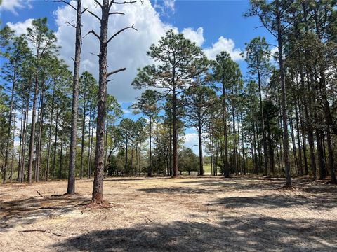 16 SE 136 TERRACE DUNNELLON FL 34431