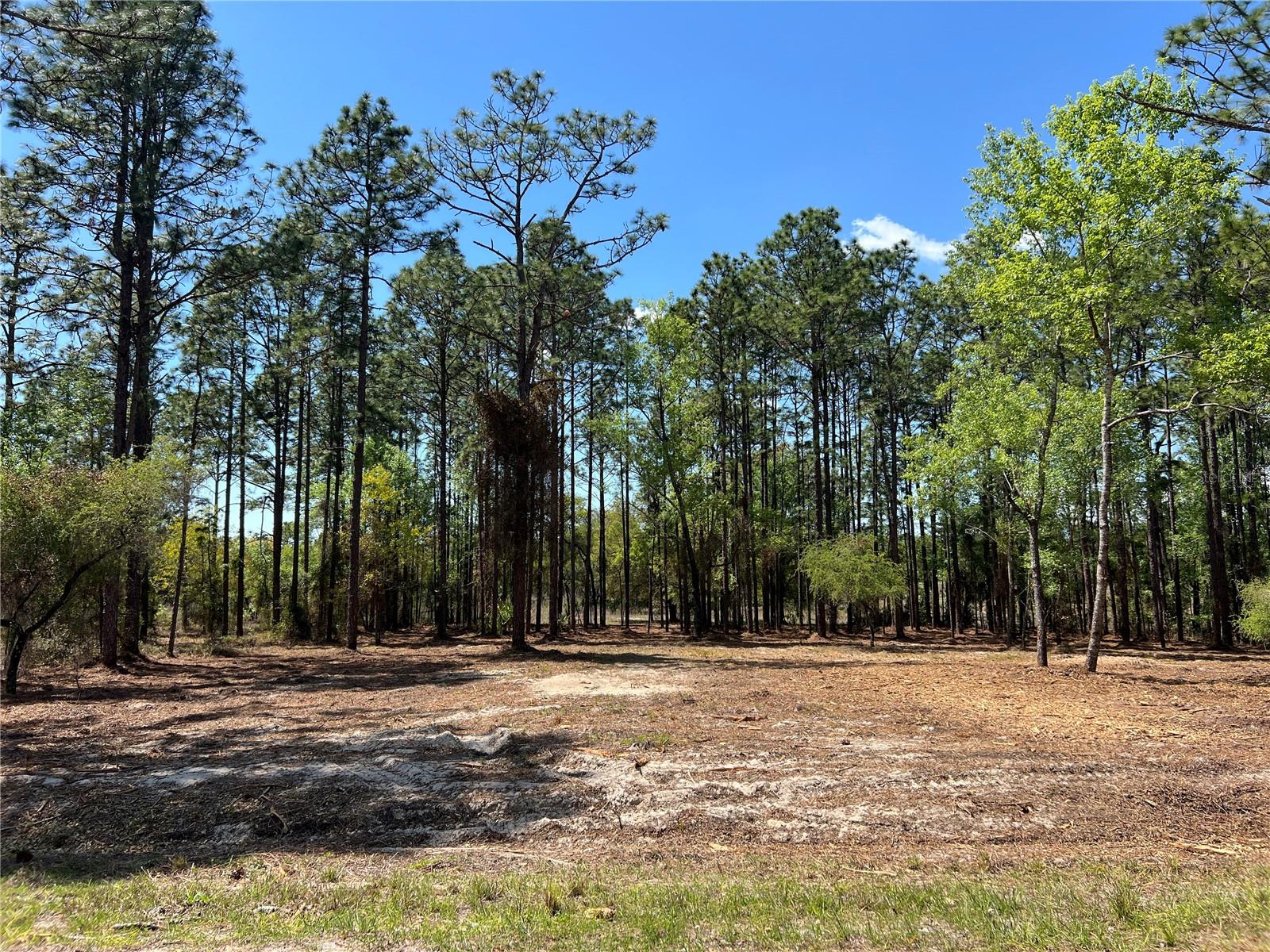 RAINBOW LAKES ESTATE - Land