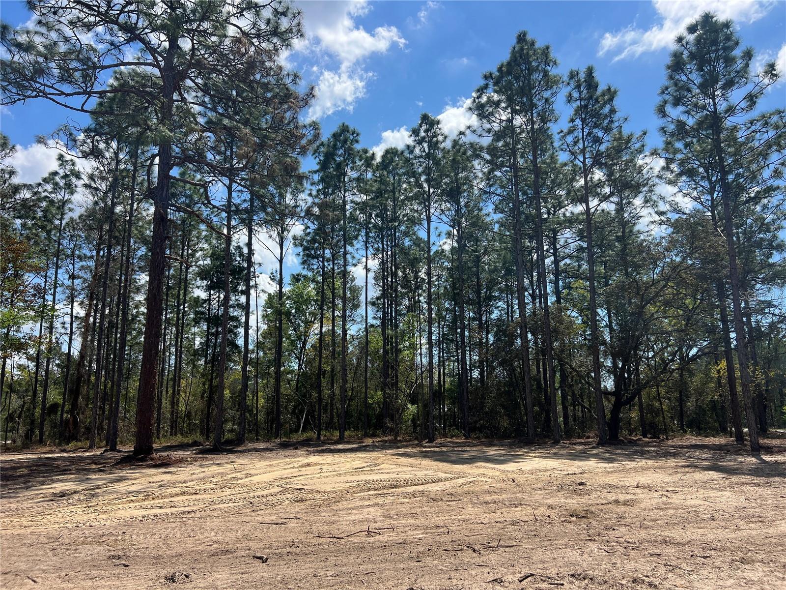 RAINBOW LAKES ESTATE - Land