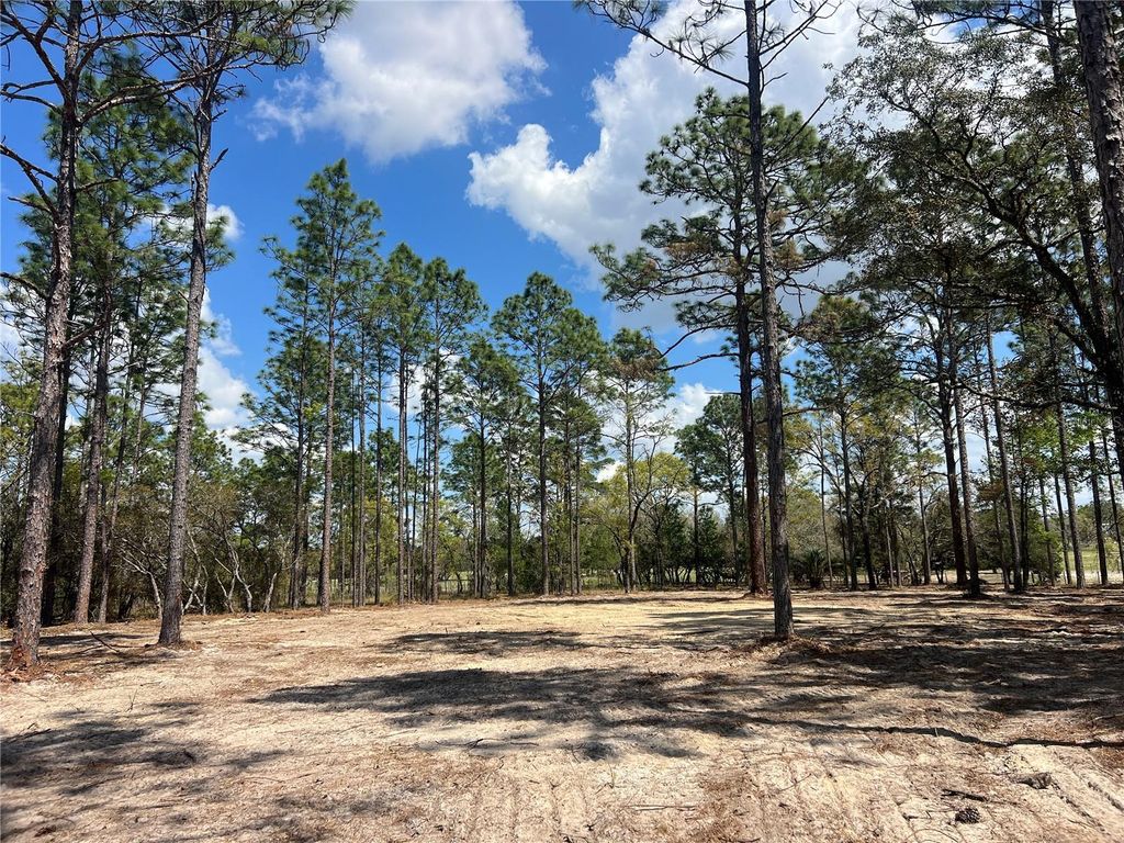 Photo of 16 SE 136 Terrace, Dunnellon, FL 34431 (MLS # OM721677)