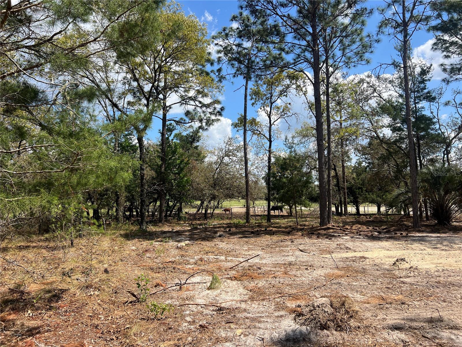 RAINBOW LAKES ESTATE - Land