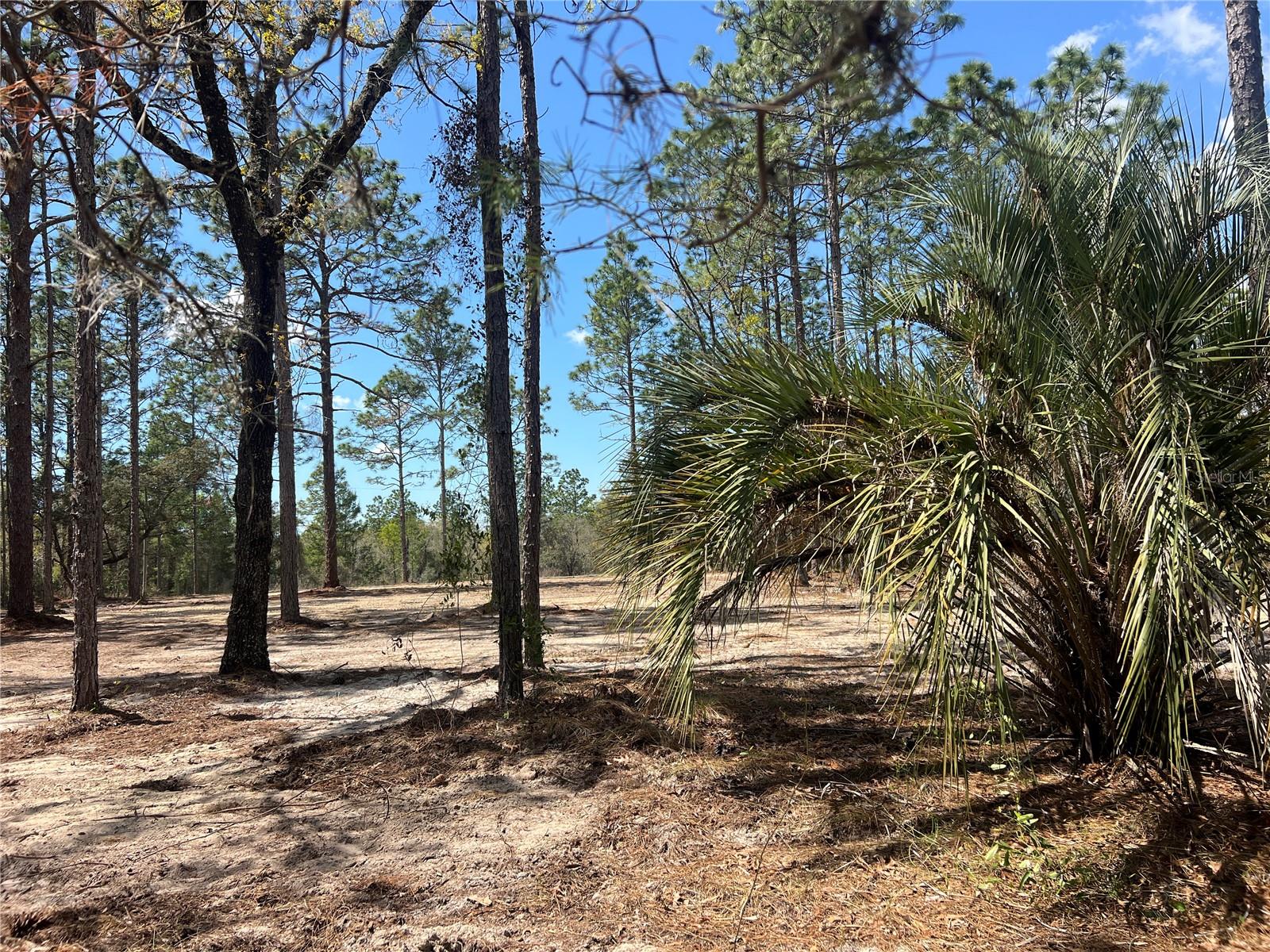 RAINBOW LAKES ESTATE - Land