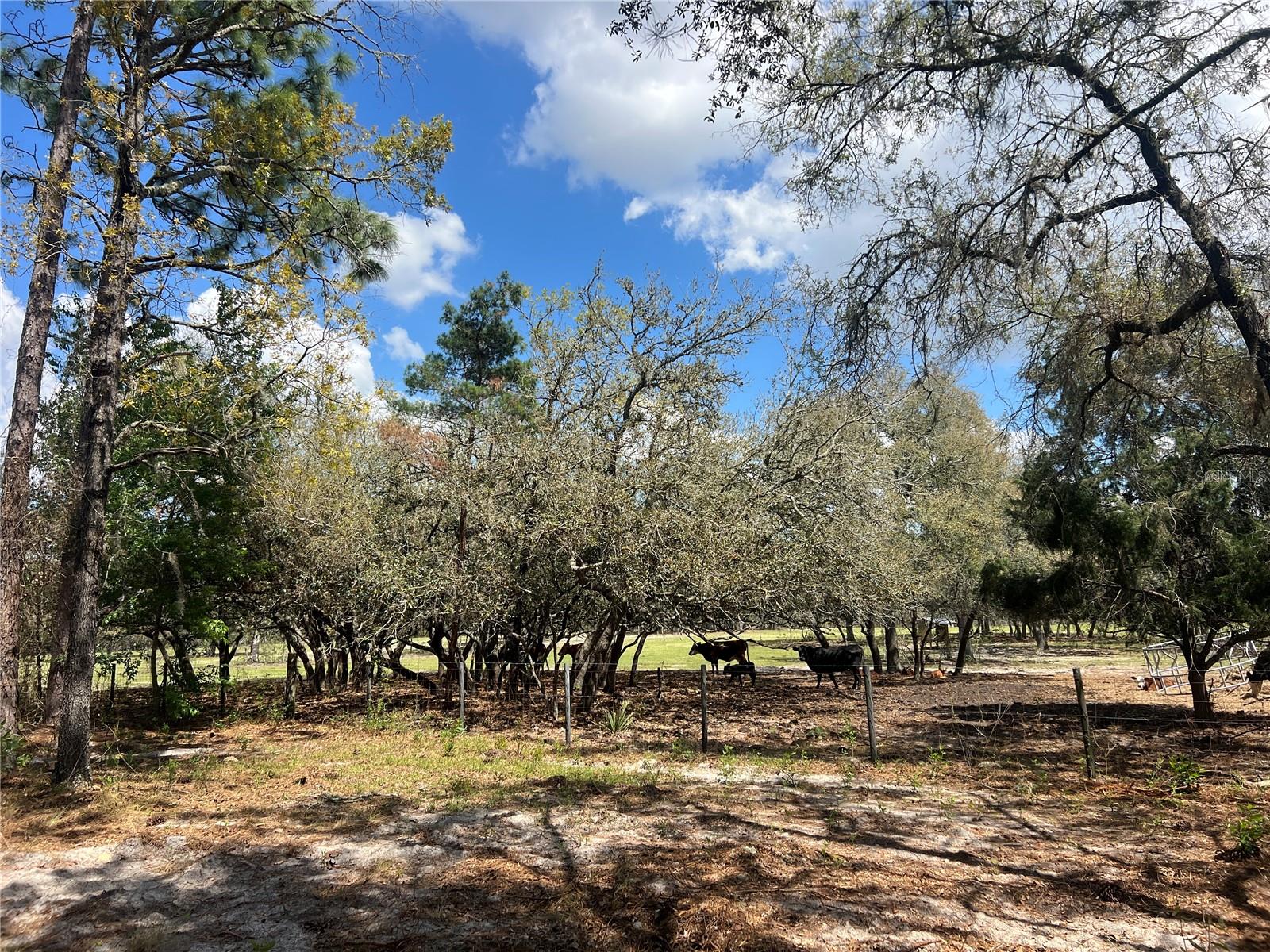 RAINBOW LAKES ESTATE - Land