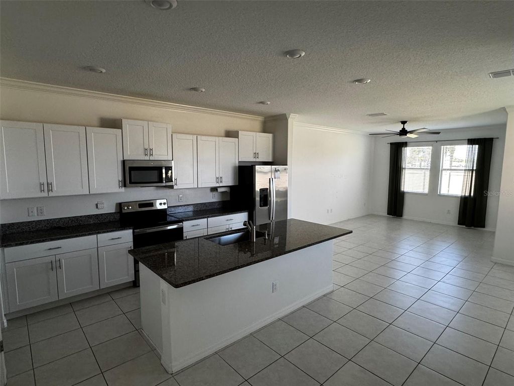 Photo of 31779 Blue Passing Loop, Wesley Chapel, FL 33545 (MLS # TB8457342)