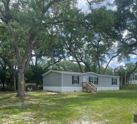 Photo of 11487 SW 42nd Terrace, Webster, FL 33597 (MLS # O6409607)