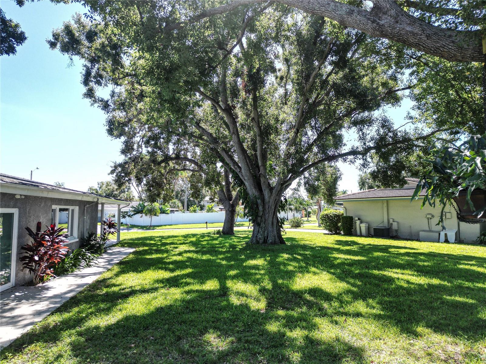 BLOSSOM LAKE VILLAGE SEC 1 - Residential