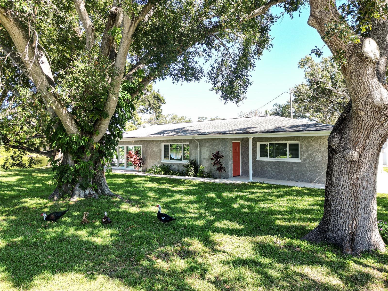 BLOSSOM LAKE VILLAGE SEC 1 - Residential