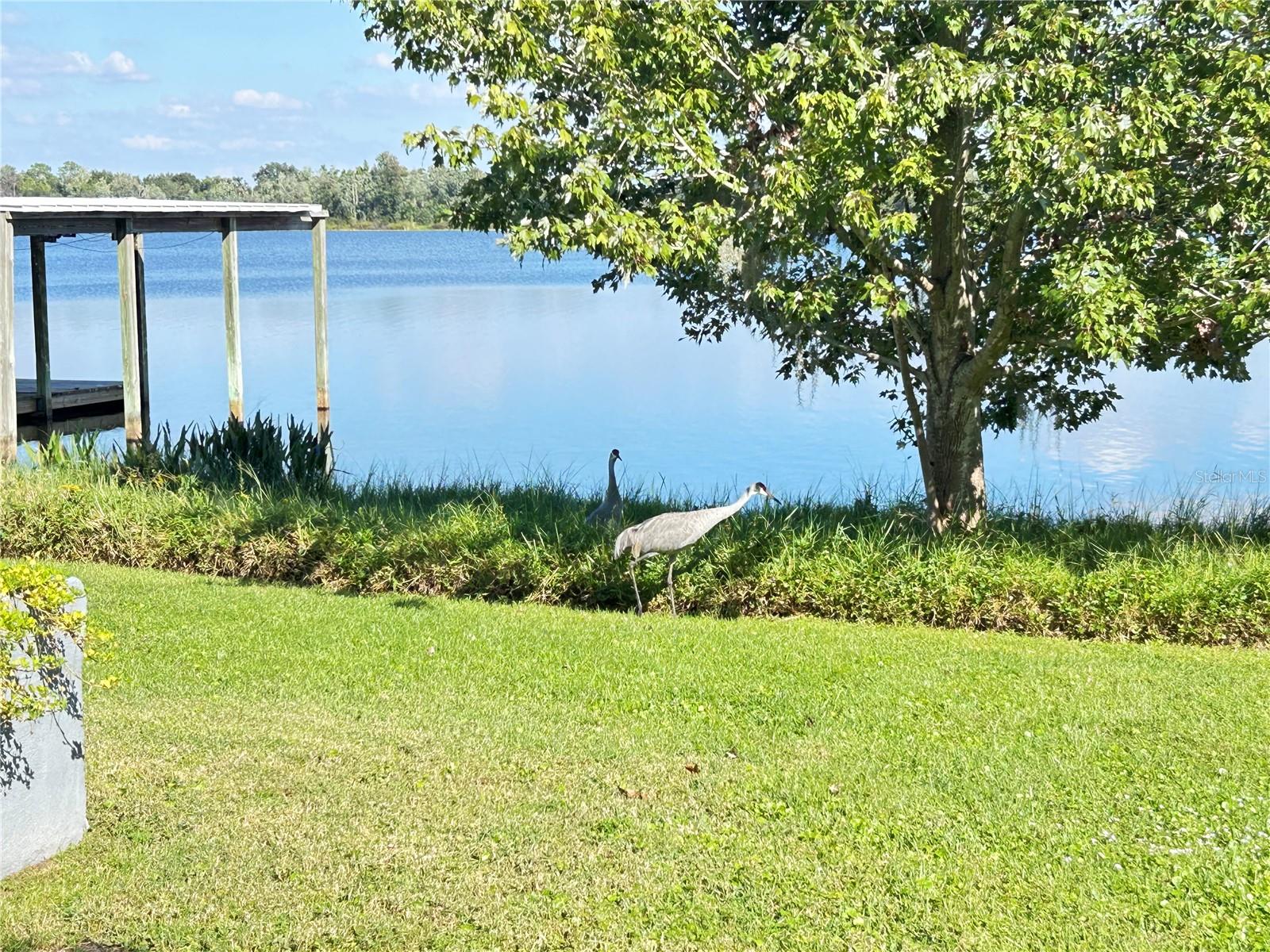 TANGERINE PKWY - Residential