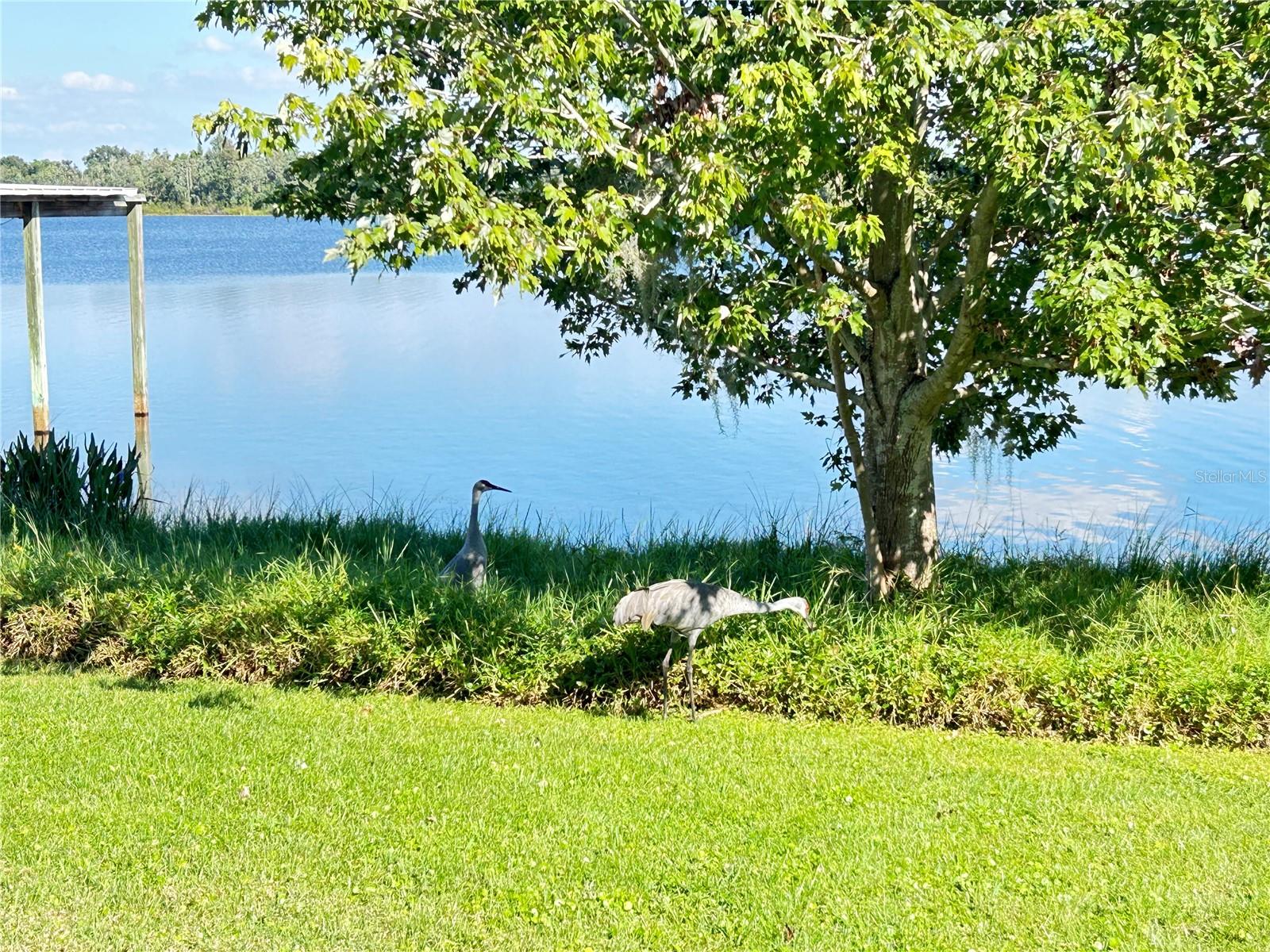 TANGERINE PKWY - Residential