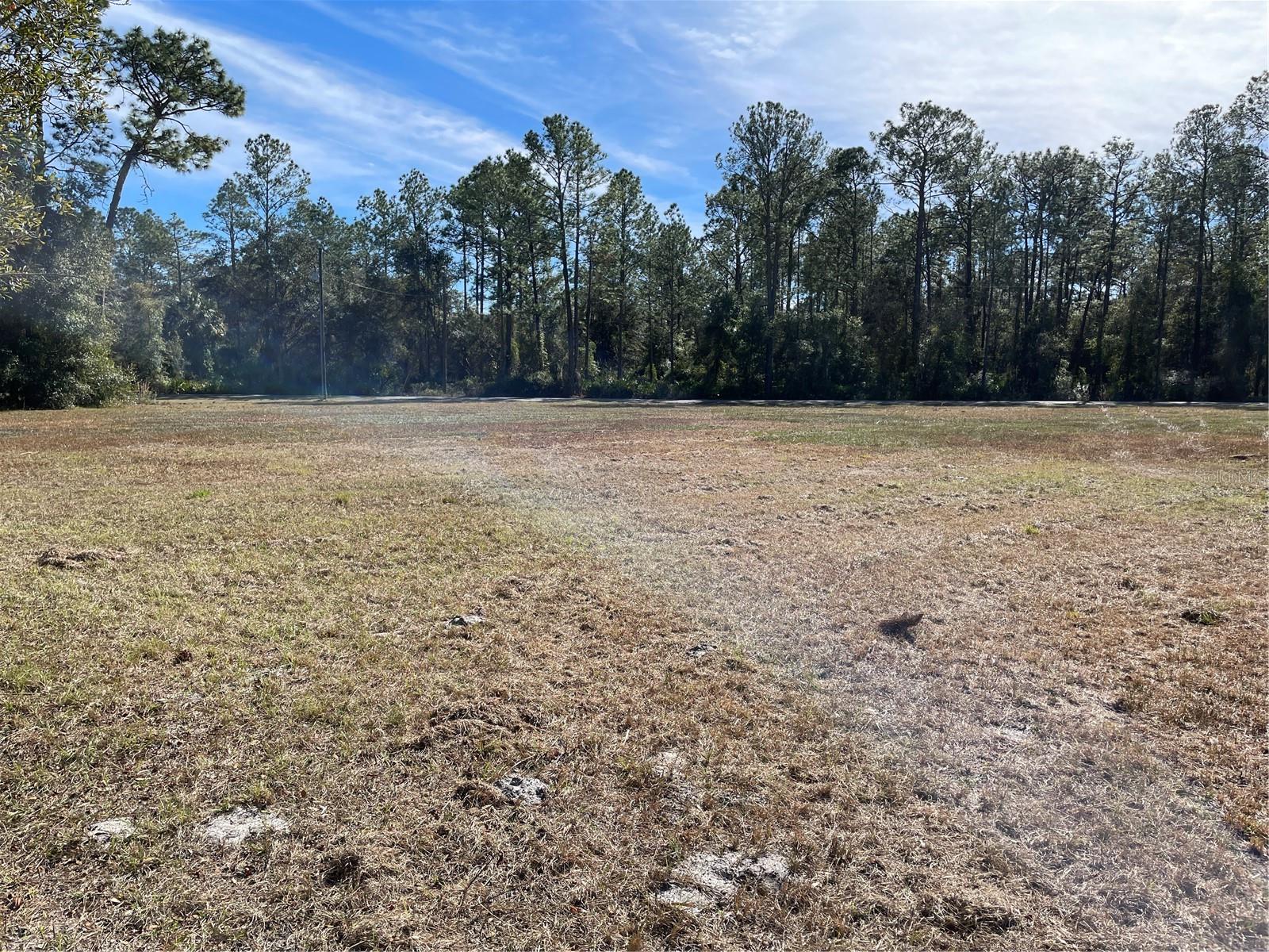 SIMMONS LAKE MANOR - Residential