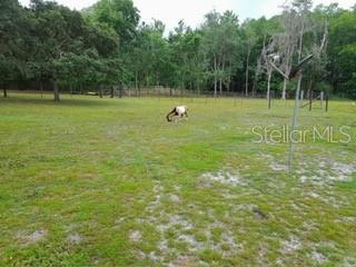 MOON LAKE ESTATES - Residential