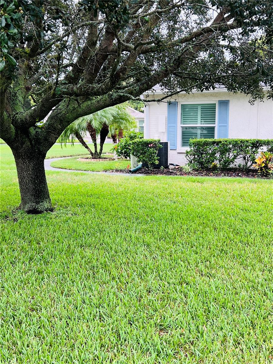 8141 BUGLE COURT 1
