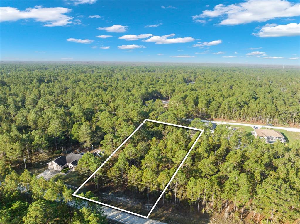 Come see this beautiful .5 acres vacant lot in Weeki Wachee, FL!
This parcel offers an affordable opportunity to build your dream home.
Enjoy NO HOA, NO CDD, NO RESTRICTIONS.
Bring your boat, RV, jet skis. Surrounded by lush mature trees and in a quaint and quiet neighborhood.