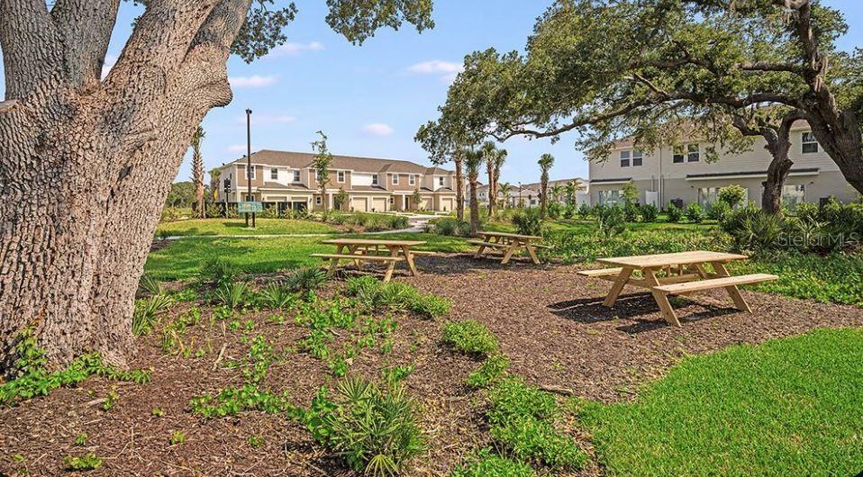 VINTERRA TOWNHOMES - Residential