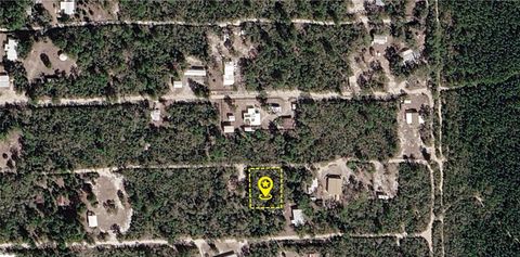 Photo of Xx NE 234th Lane, Fort Mccoy, FL 32134 (MLS # O6420192)