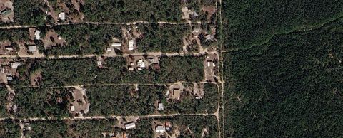 Tiny photo for Xx NE 234th Lane, Fort Mccoy, FL 32134 (MLS # O6420192)